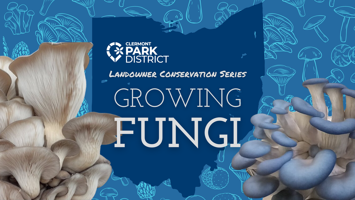 Landowner Conservation Series: Growing Fungi